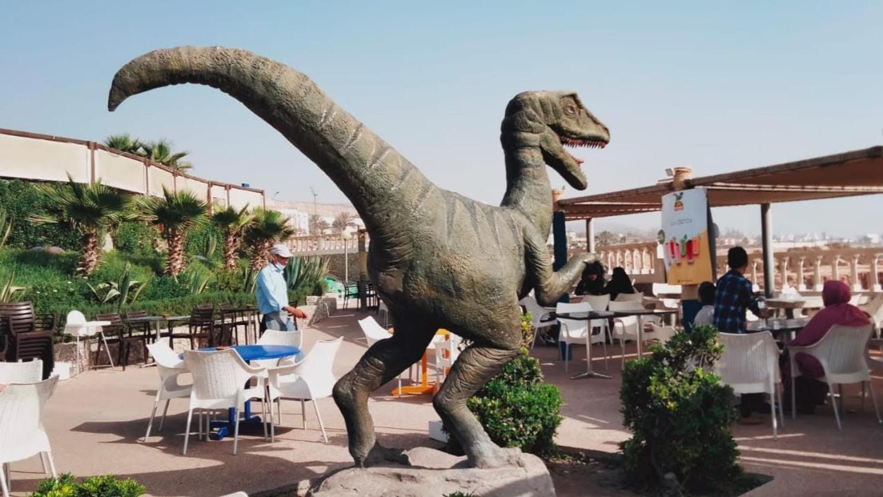 Anza With Terrace Agadir
